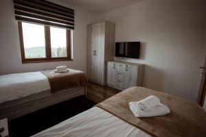 um quarto de hotel com duas camas e uma televisão em Zlatar Apartman br 16 em Brdo