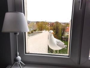 Fotografia z galérie ubytovania SOPOCIAK v destinácii Sopot