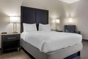Comfort Inn & Suites Greer - Greenville客房内的一张或多张床位