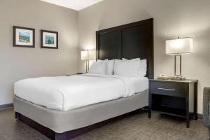 Comfort Inn & Suites Greer - Greenville客房内的一张或多张床位