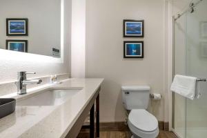 Comfort Inn & Suites Greer - Greenville的一间浴室