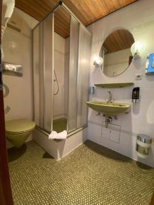 een badkamer met een douche, een toilet en een wastafel bij Parkhotel in Rottweil