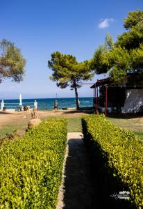 a path leading to the beach with trees and the ocean at Eirini Kasimiotou Apartments in Áyios Andréas Messinias