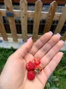 a person holding two raspberries in their hand at Albanian traditional Villa in Librazhd