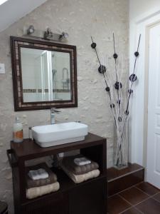 bagno con lavandino e specchio di Gîte Les Nymphéas a Épeigné-les-Bois