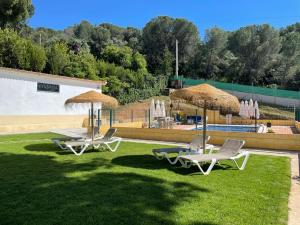 twee ligstoelen en parasols op het gras bij een zwembad bij CASA RURAL VlLLA ALGABA in Córdoba