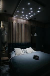 - une chambre avec un lit éclairé au plafond dans l'établissement AH Skynight Puškinova, à Košice