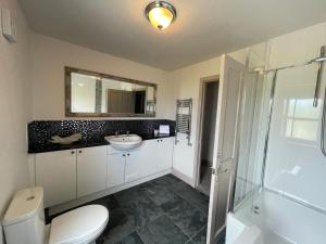 a bathroom with a toilet and a sink and a shower at Apartments No. 19 in Portpatrick