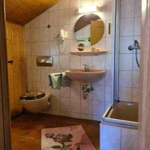 La salle de bains est pourvue d'un lavabo, de toilettes et d'un miroir. dans l'établissement Haus Cornelia, à Jungholz