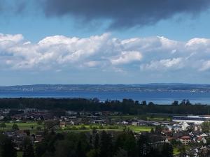 RheineckにあるStudio Seeblickの大水の町並み +6枚の写真