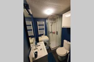 Et badeværelse på Grand Studio de charme Rouen centre + 8 billeder