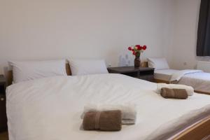 Imagen de la galería de Viktorijini konaci, en Kremna