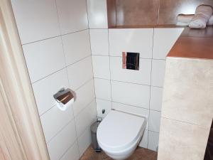bagno con servizi igienici e dispenser di carta igienica di Willa BLANCA a Dźwirzyno