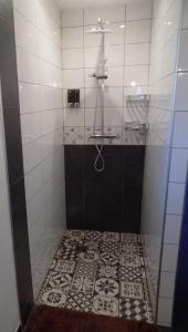 a bathroom with a shower with a tile floor at Gîte des Marmouzeaux in Lemé