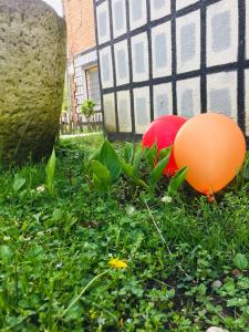 two orange balls in the grass next to a fence at Lazuri Keria Family Guesthouse in Khoni