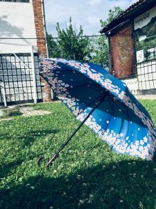 um guarda-chuva azul deitado na relva num quintal em Lazuri Keria Family Guesthouse em Khoni