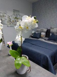 Un jarrón con flores blancas en una habitación con cama en Orchideen Zimmer, en Wetzlar