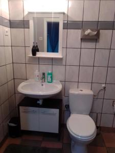 y baño con aseo y lavamanos. en Orchideen Zimmer, en Wetzlar