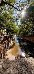 a view of a river with trees and the sun at Bucanaan hostel boutique in Córdoba