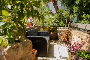 Zahrada ubytování DOMUS AMABILIS - ESPAI GAETA