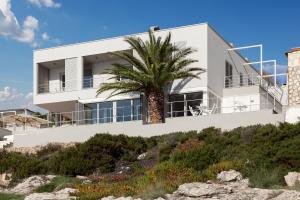 una casa blanca con una palmera delante de ella en Villa Roca en Vis