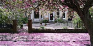 Zahrada ubytování Lochinver Guesthouse