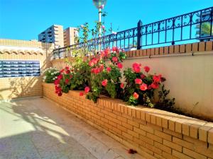 Galeriebild der Unterkunft ACV - Valparaiso - 2ª linea, planta 3, norte in Oropesa del Mar
