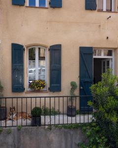 un cane che giace alla finestra di una casa con persiane blu di Suite parentale Au bonheur des ours a Sahorre