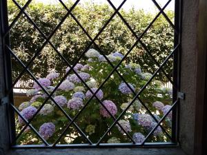 A garden outside Casa Vacanze Liperni