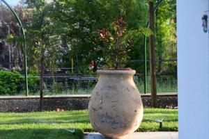 A garden outside Le rose di Bino