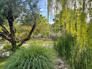 a garden with tall grass and trees and a fence at Home Sweet Home in Gallicano nel Lazio