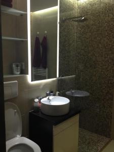 a bathroom with a sink and a toilet and a mirror at Sibiu Central Apartment in Sibiu