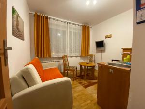 Televízia a/alebo spoločenská miestnosť v ubytovaní 2-pokojowe Apartamenty KAMIL Krynica-Zdrój + 3 fotografie
