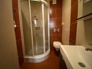 クリニツァ・ズドルイにある2-pokojowe Apartamenty KAMIL Krynica-Zdrójのバスルーム(シャワー、トイレ、シンク付)