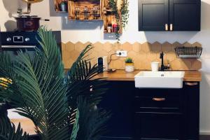 科爾馬的住宿－Un petit Vintage à Colmar，厨房配有水槽和植物台面