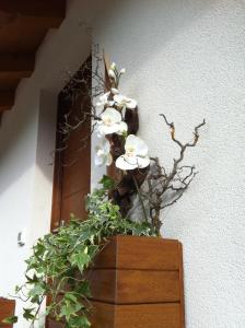 Foto sihtkohas Trento asuva majutusasutuse B&B Aria d'Argento & Relax Home galeriist
