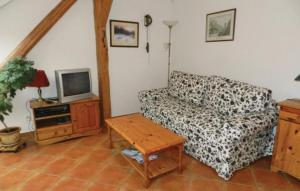 a living room with a couch and a tv at apartmany mlýn Strmilov in Strmilov