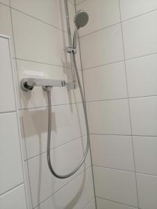 a shower with a shower head in a bathroom at Landhotel Reckenberg in Stegen