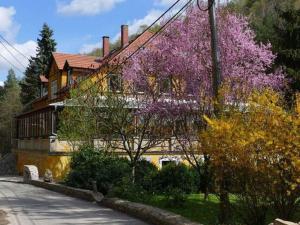 ein Haus mit lila Bäumen vor einer Straße in der Unterkunft Exclusive apartment in an art nouveau villa in Großschirma