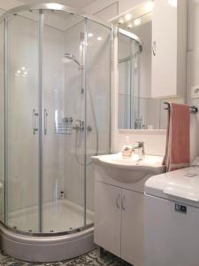 La salle de bains est pourvue d'une douche et d'un lavabo. dans l'établissement Monty Suite, à Rijeka