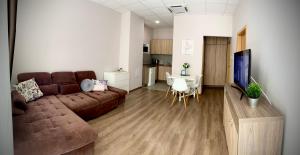 sala de estar con sofá marrón y cocina en AquaLITA Apartman Zalakaros en Zalakaros