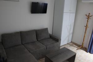波托西的住宿－VILLA IATROU，带沙发和电视的客厅