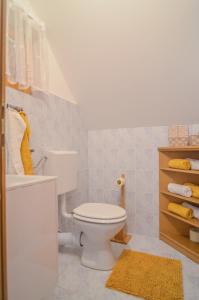 a bathroom with a white toilet and a sink at Flower house Podčetrtek in Podčetrtek