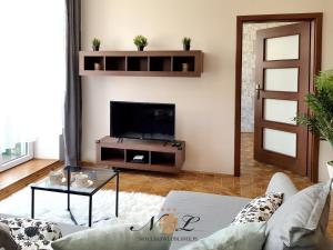 Televízia a/alebo spoločenská miestnosť v ubytovaní Apartament Peowiaków Superior