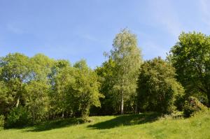 Příroda nedaleko bed and breakfast