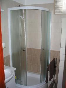 W łazience znajduje się prysznic ze szklanymi drzwiami. w obiekcie Apartment Oliva w Fažanie