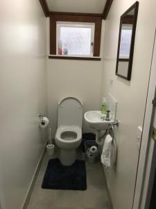 a small bathroom with a toilet and a sink at Tophouse Historical Inn Bed and breakfast in Saint Arnaud