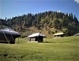 three tents in a field with a mountain in the background at Camping Huts at Lord Shiva Camps in Sari