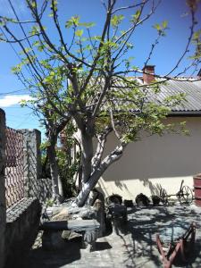 Fotografie z fotogalerie ubytování Apartmani Pinkum v destinaci Veliko Gradište