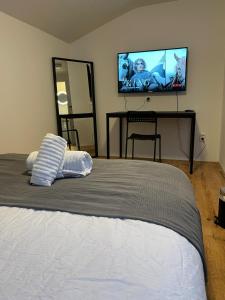 a bedroom with a bed and a flat screen tv at New Delft Garden View Prins Room delta in Delft
